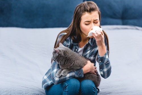 A woman is suffering from a sneezing episode as a result of petting her cat and hopes the HypoCat vaccine will help reduce the cause, Fel d 1. 