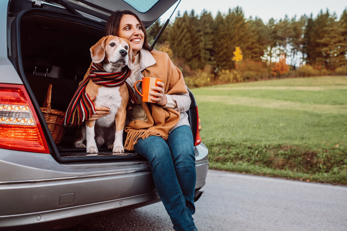 Pet safety in cars is possible with advice