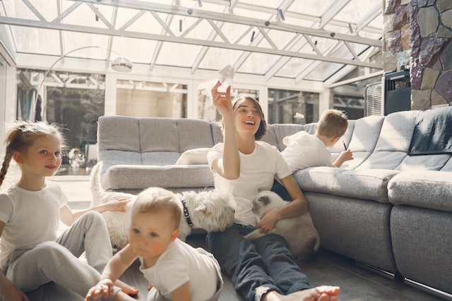 women plays with her cat and dog to provide them with physical and mental stimulation