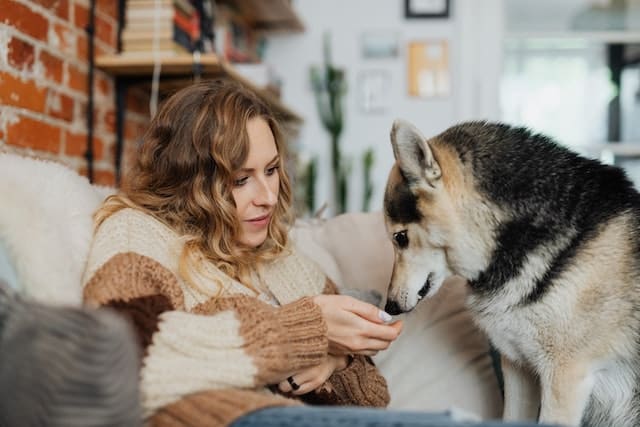 woman feeds her pet healthy snacks that come at a high price