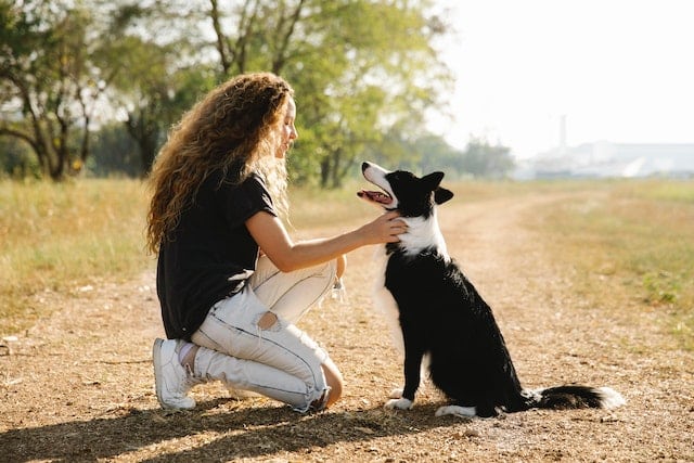 woman with brown long curly hair pats her new black and white dog on a gravel road, after researching the price of pets