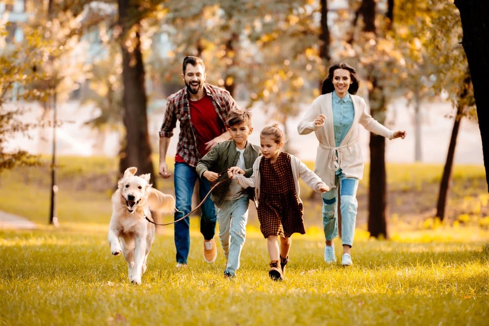 Pet Insurance Myths