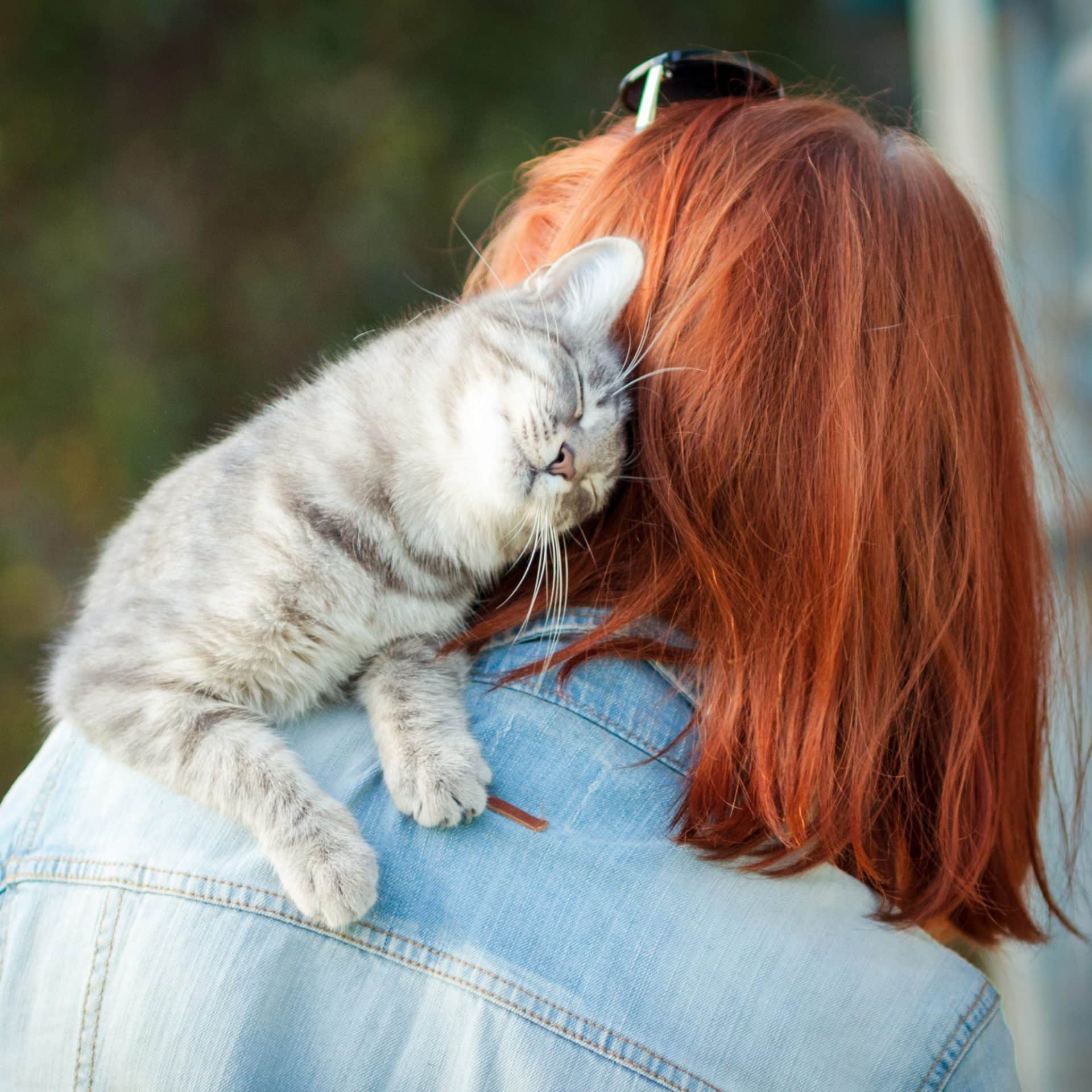 pet parenting mistakes are easily avoided