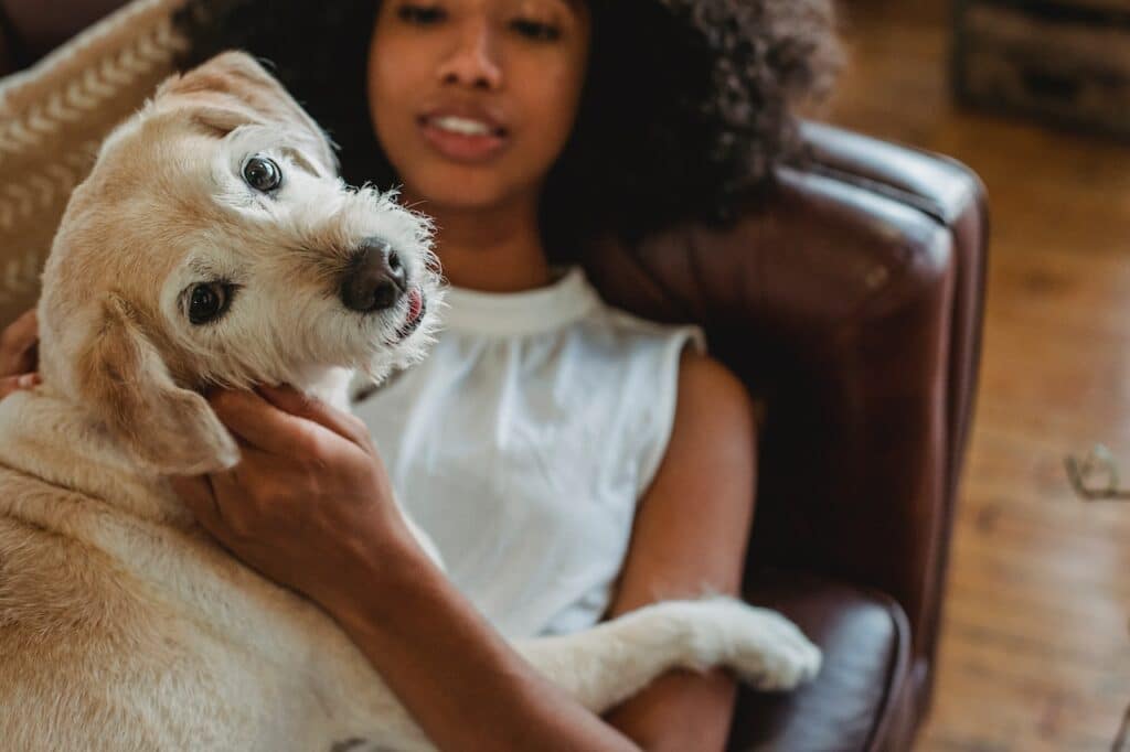 Purrfecting your down dog at cat yoga - WTOP News