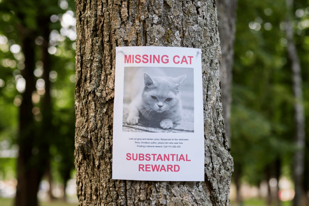 Find lost pets near me cheap
