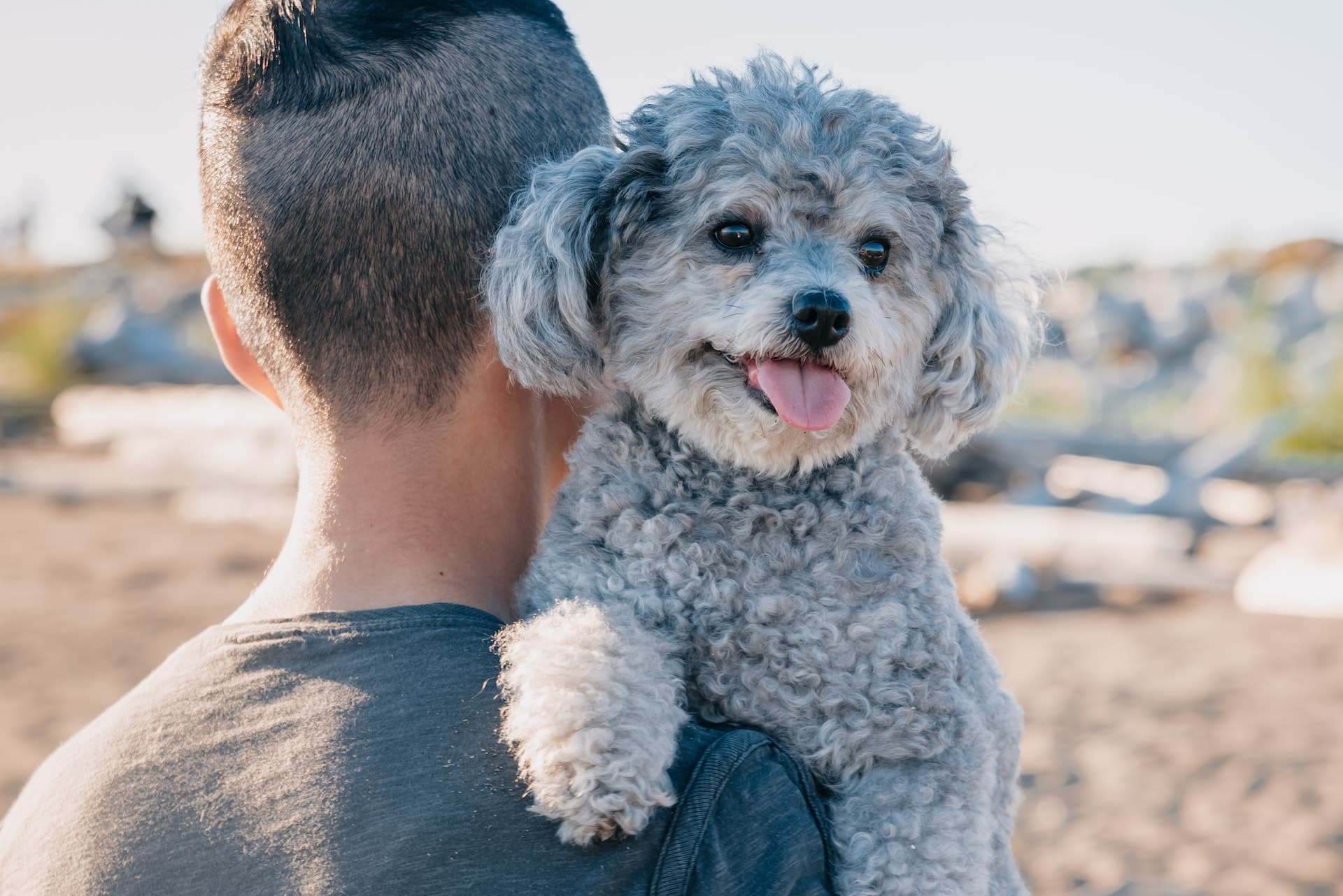 A major part of the dog adoption checklist is understanding that you’ll need to invest in your dog’s health (both mental and physical) and their training and education over their lifetime.