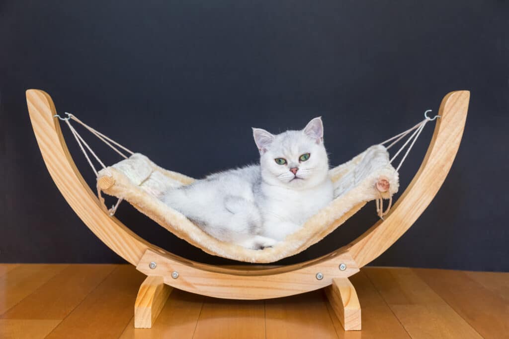A relaxed cat lounging in a miniature wooden cat hammock.
