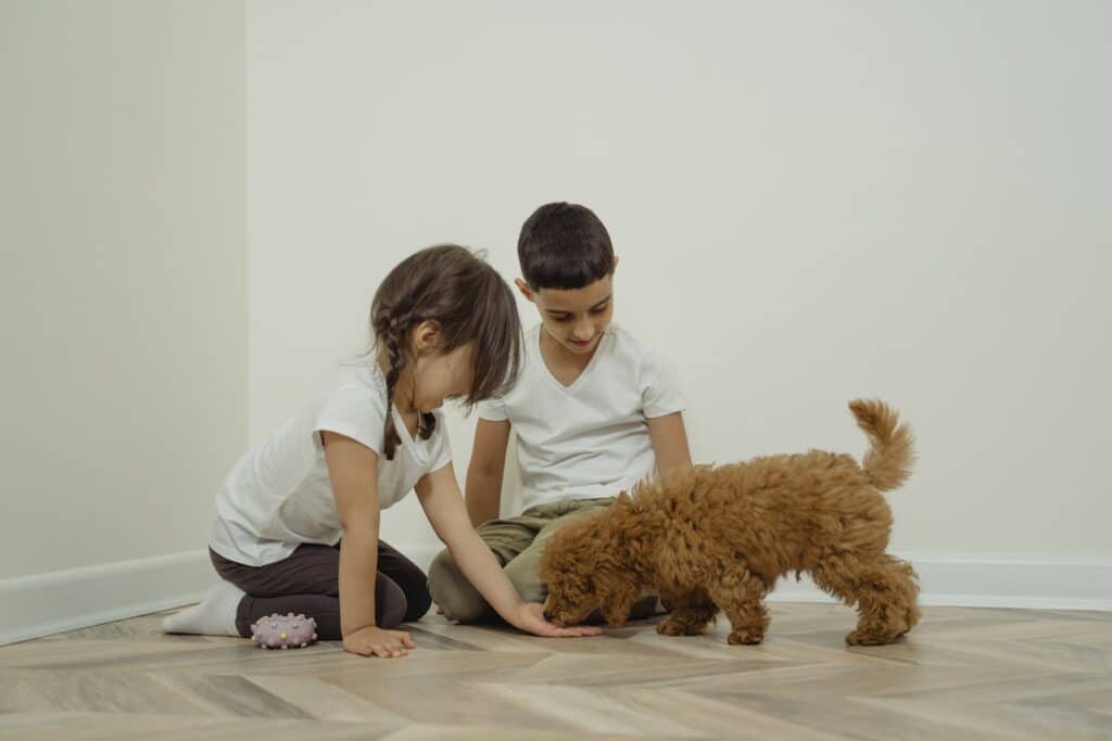 One of the best pets for kids is a fluffy dog like this brown labradoodle.