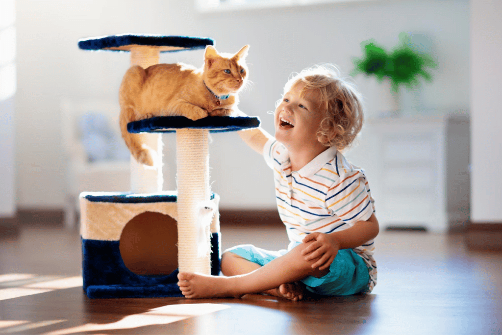 one of the best pets for kids is a ginger pussy cat