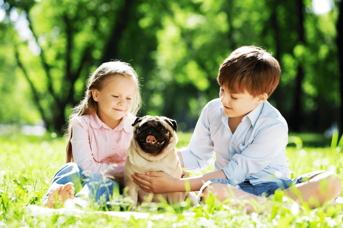 one of the best pets for kids is a pug dog