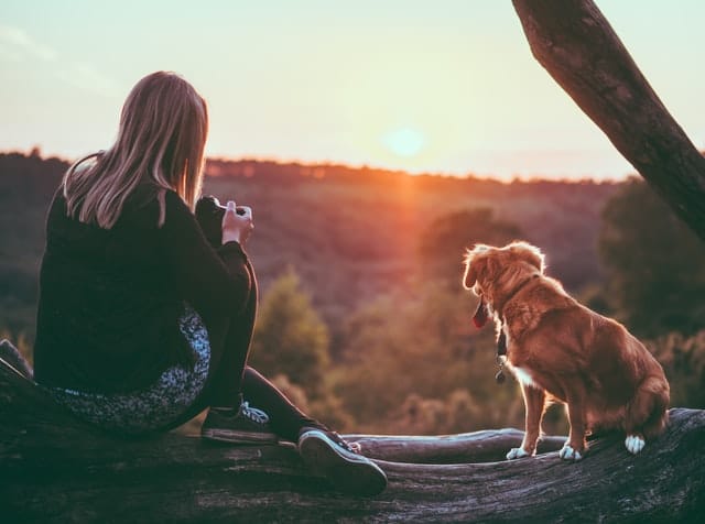a woman keeps her pet safe during a pest treatments by taking it out for a pet holiday