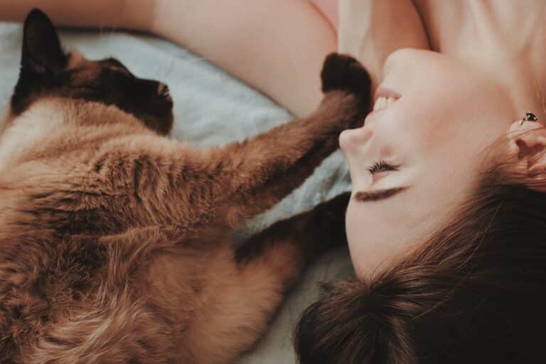 A person lying on a bed smiles while their Siamese cat, who was featured in a recent pet cost survey, gently touches their face with its paw.