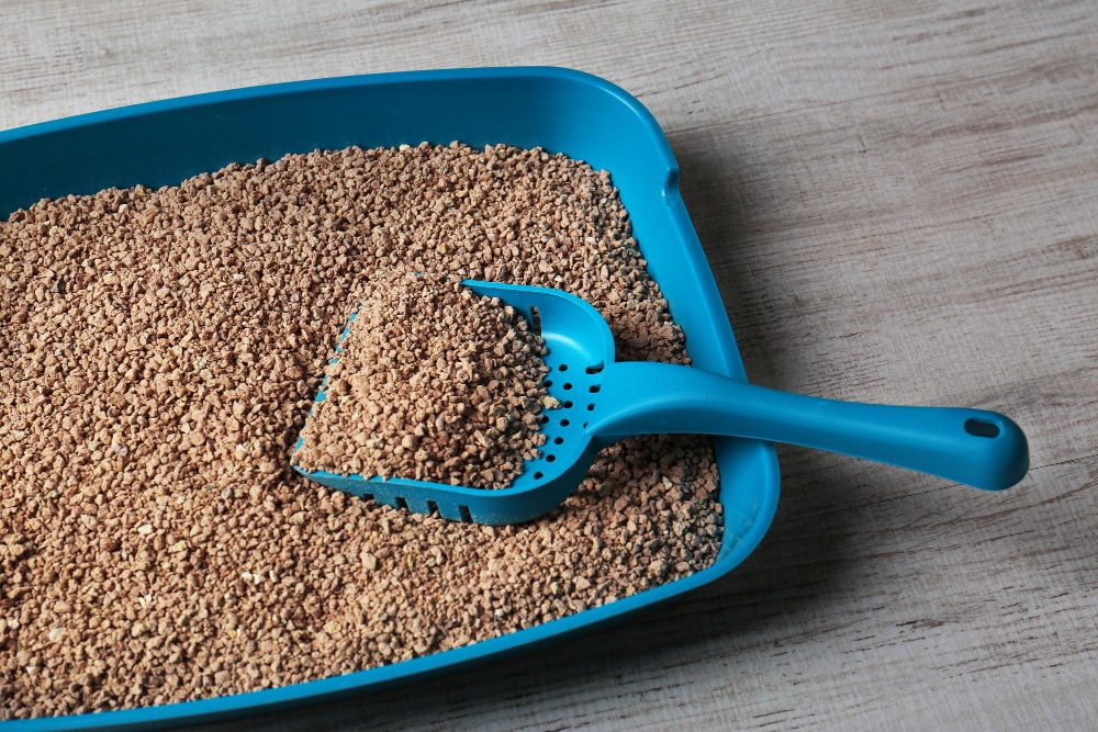 A blue cat litter box filled with clumping litter.