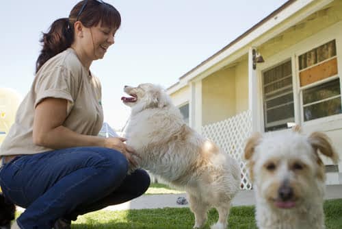 this woman thinks kennels vs pet sitters is an easy question to answer