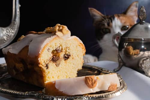 Christmas dinner and pets means thinking carefully about what they can east