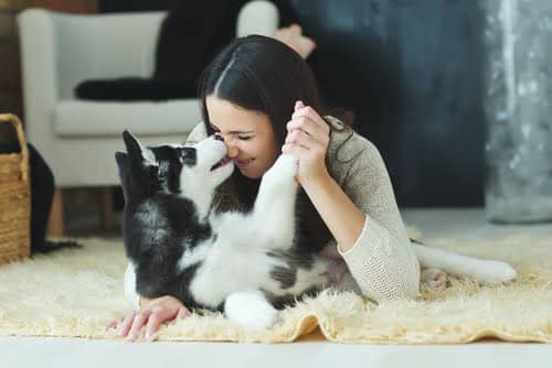 7 Steps to Being the Purrfect Pet Parent in 2021