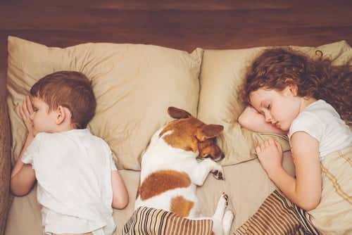 Co-sleeping with your dog – scientific based benefits