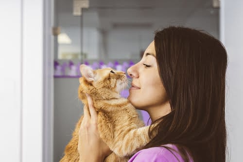 this woman will follow tips for giving medication to cats after cuddling her cat