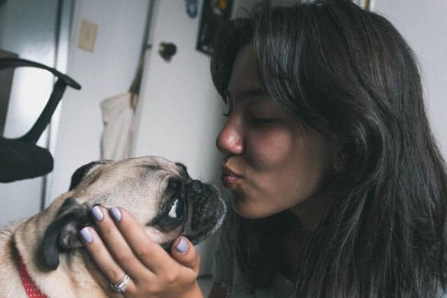 Show your pet you love them - woman kissing pug on forehead