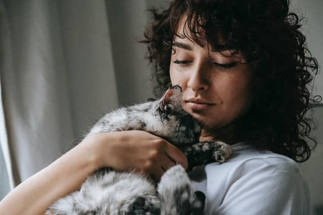 COVID 19 in Animals: Pet Safety During Pandemic