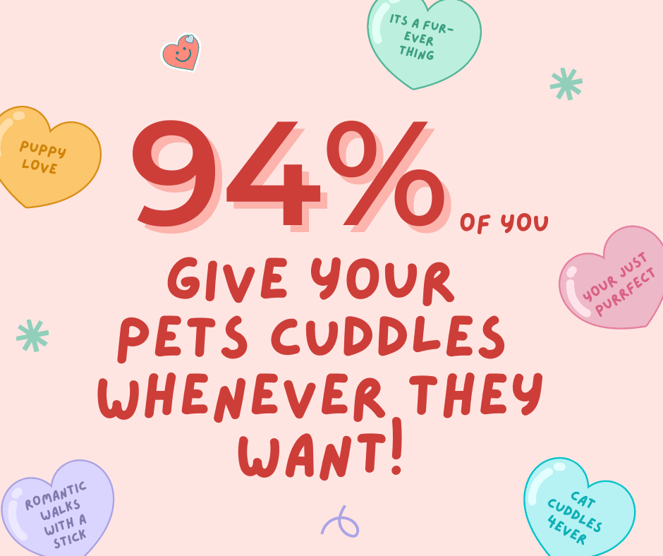 94% of survey participants show their pet love by giving cuddles whenever they want.