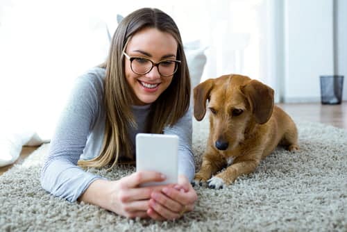 pet technology - dog looking at smartphone