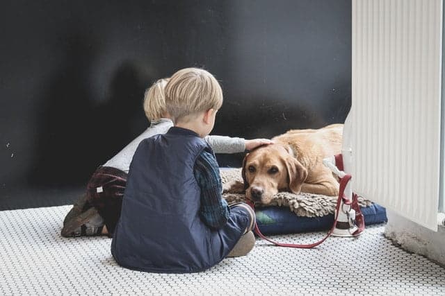 golden retriever dog and kids sitting together on floor