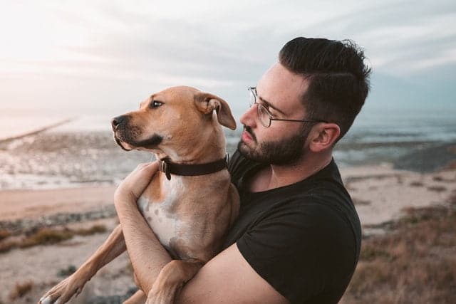 Let's celebrate Active Dog Month with the top dog exercise tips available!