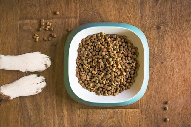 some dog food is more sustainable than others