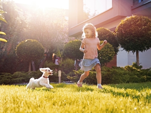 A young girl runs through a sunlit yard as her small white pup follows close behind