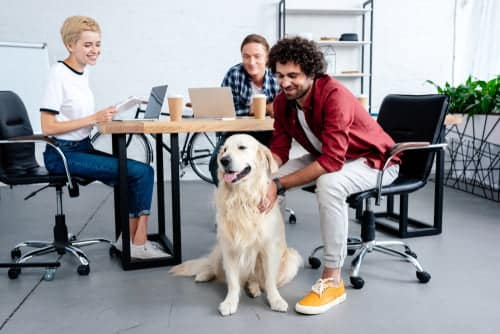 These colleagues celebrate Bring Your Dog to Work Day, 25 June.