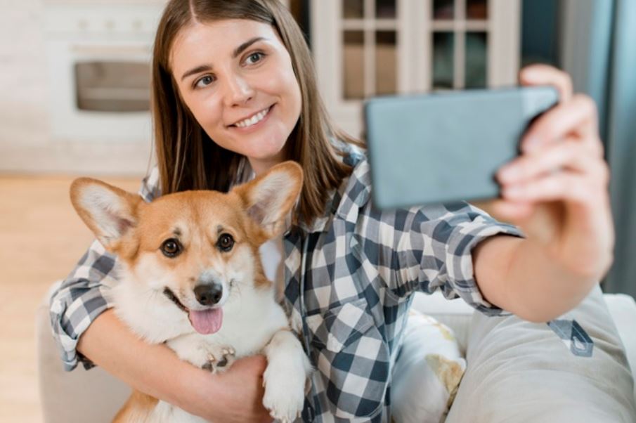 Fill your feed with dogs of Instagram!