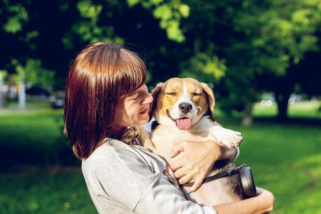 Find out how to tell if a dog is purebred.