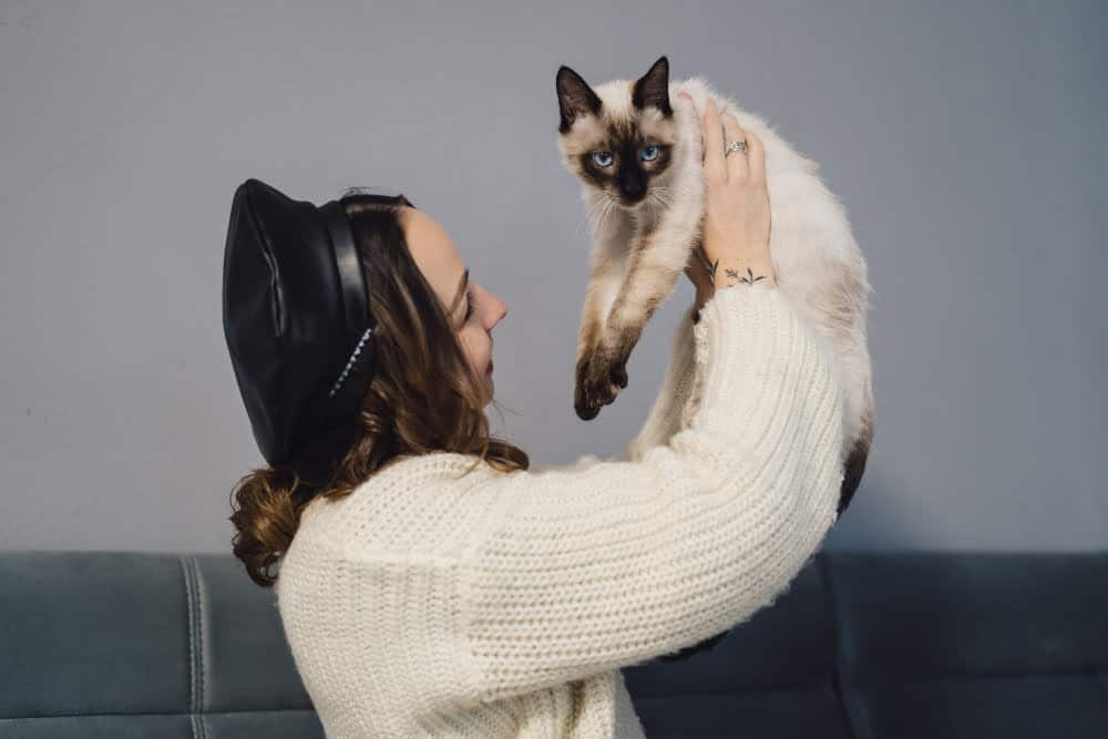 purebred siamese cat being held in air by woman