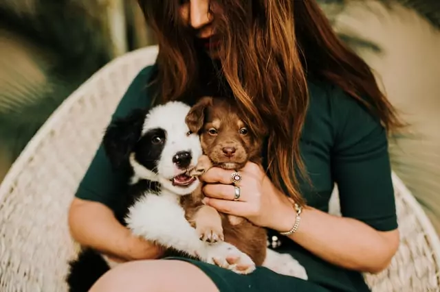 A woman has bought two puppies from ethical dog breeders