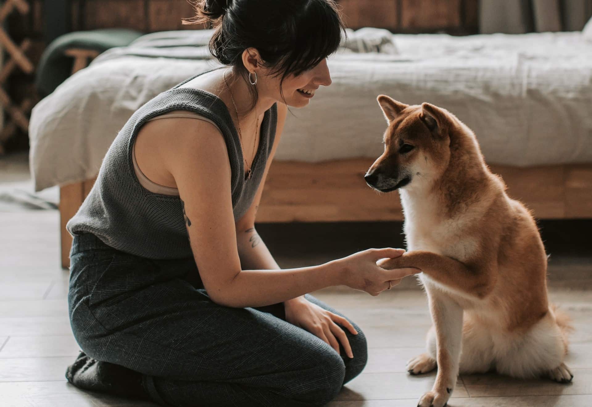 A woman uses reward dog training to teach and bond with her dog