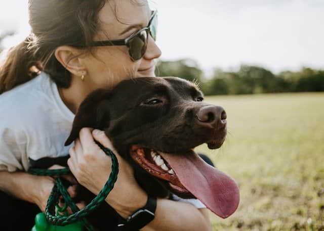 woman hugging dog domesticated brown labrador