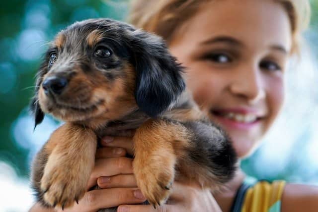 A girl with the family pet dog