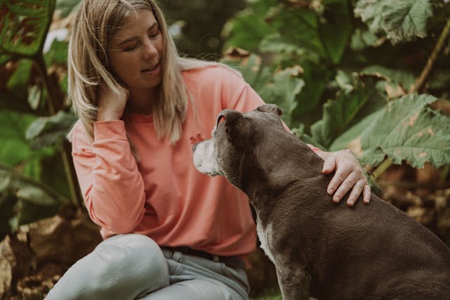 A woman with blonde hair, wearing a pink top, sits beside a gray dog in a garden, gently petting it while looking at the dog as if to grieve the loss of a pet.
