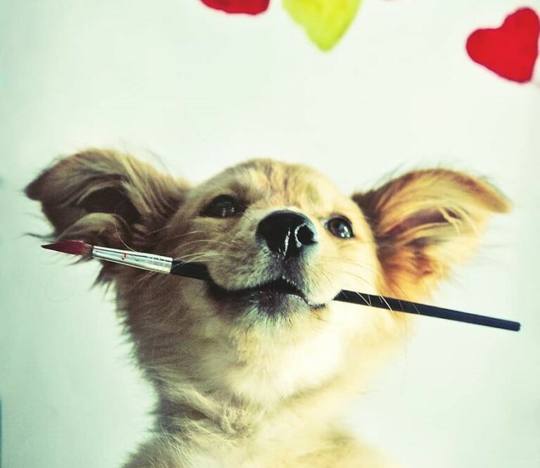 a puppy paints his own cat art canvas.