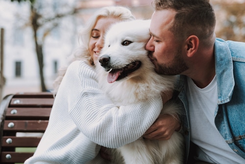 This pup knows PD insurance is good for pet insurance