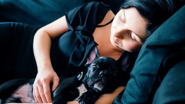 preventing coronavirus in dogs and cats is important