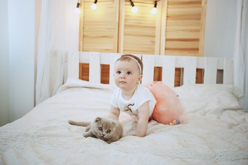 A baby, dressed in a white shirt and pink tutu, is crawling on a bed next to a small grey kitten. Light bulbs hang in the background, capturing this adorable moment of cats and babies bonding.