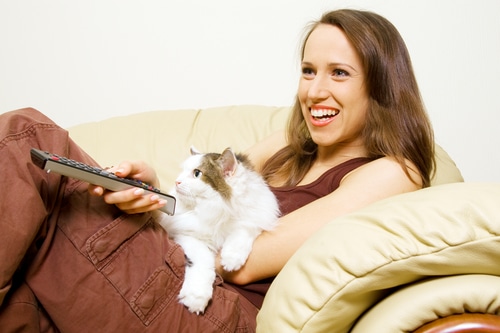 Cat movie viewing with cat on the couch