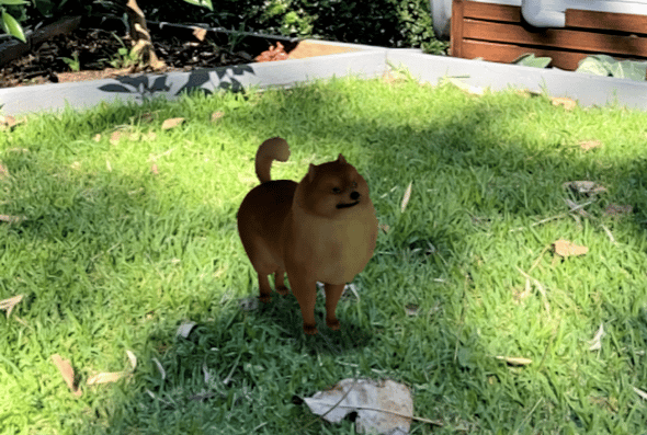 Google 3D Animals Makes Choosing a Pet Easier - PD Insurance NZ Google 3D Animals Makes Choosing a Pet Easier - PD Insurance NZ