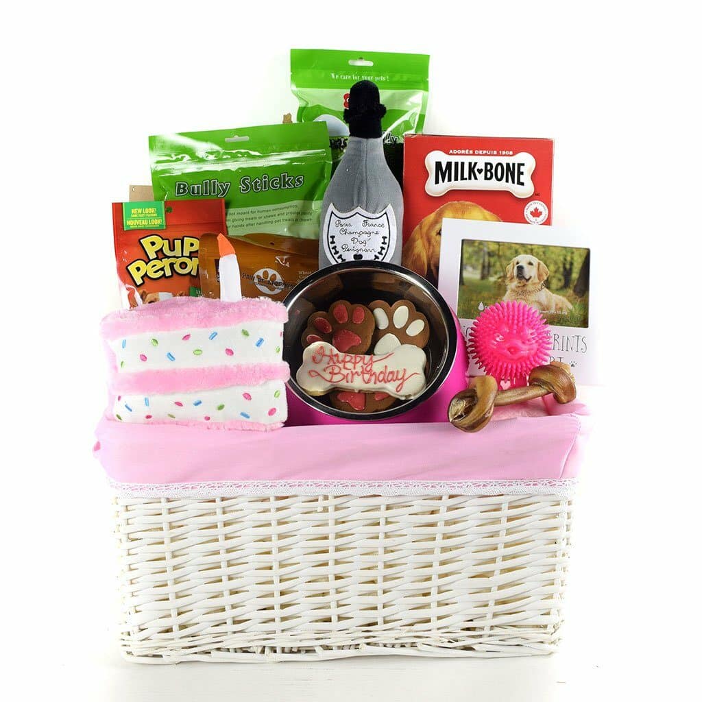 Gifts for dogs include this hamper with toys and more