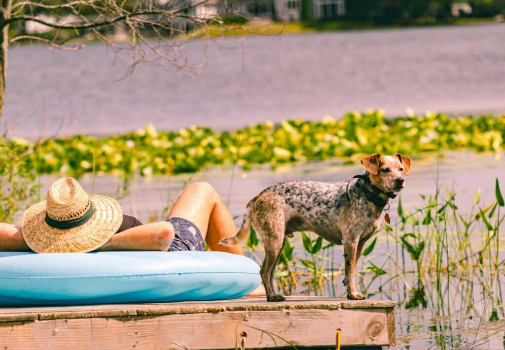 A person in a straw hat is lounging on a dock near a lake, savoring the calm with their spotted dog beside them. Pet safety in summer is crucial, so they ensure their furry friend stays hydrated and shaded from the intense summer heat.