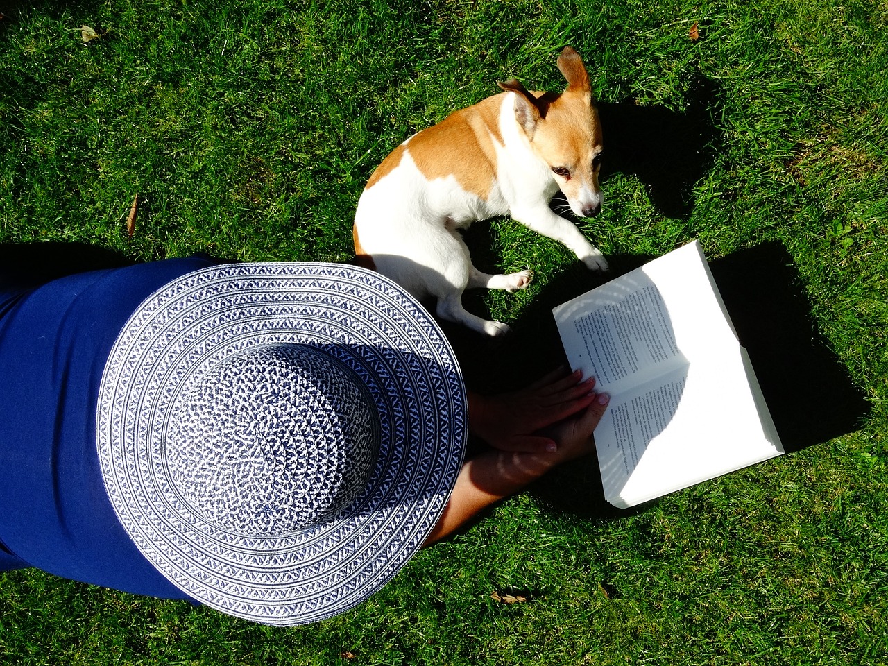 Person wearing a hat reading a book from their holiday reading list beside a resting dog on the grass.