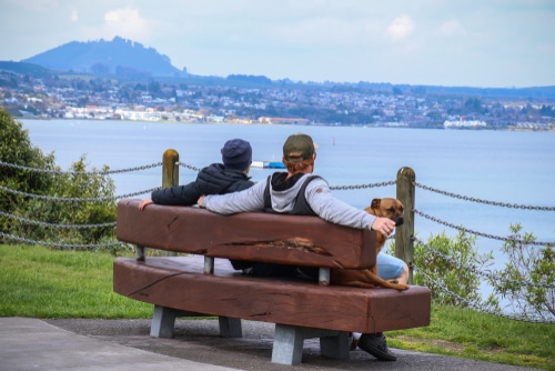 couple with pet dog on bench in Taupo