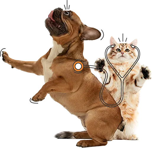 PD Insurance New Zealand